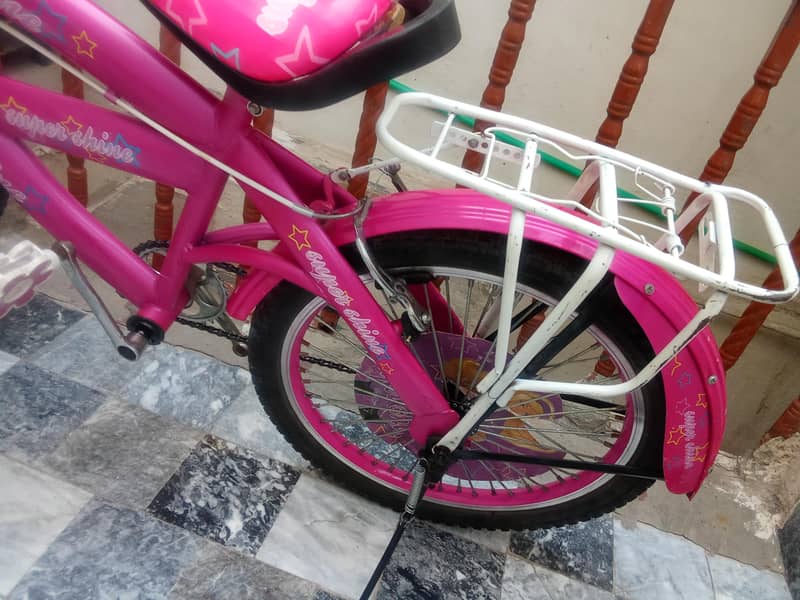 pink cycle 1