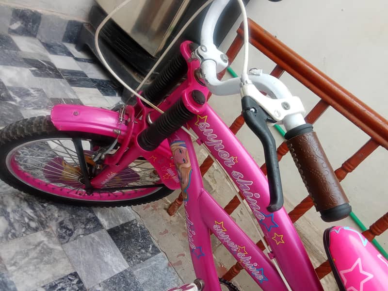 pink cycle 2