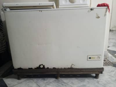 Double door Deep Freezer
