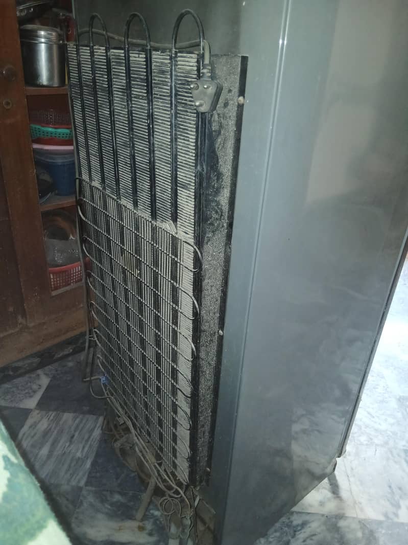 Fridge 03,25-719,78,74 2