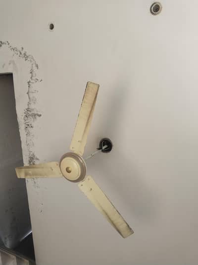 Ceiling fan