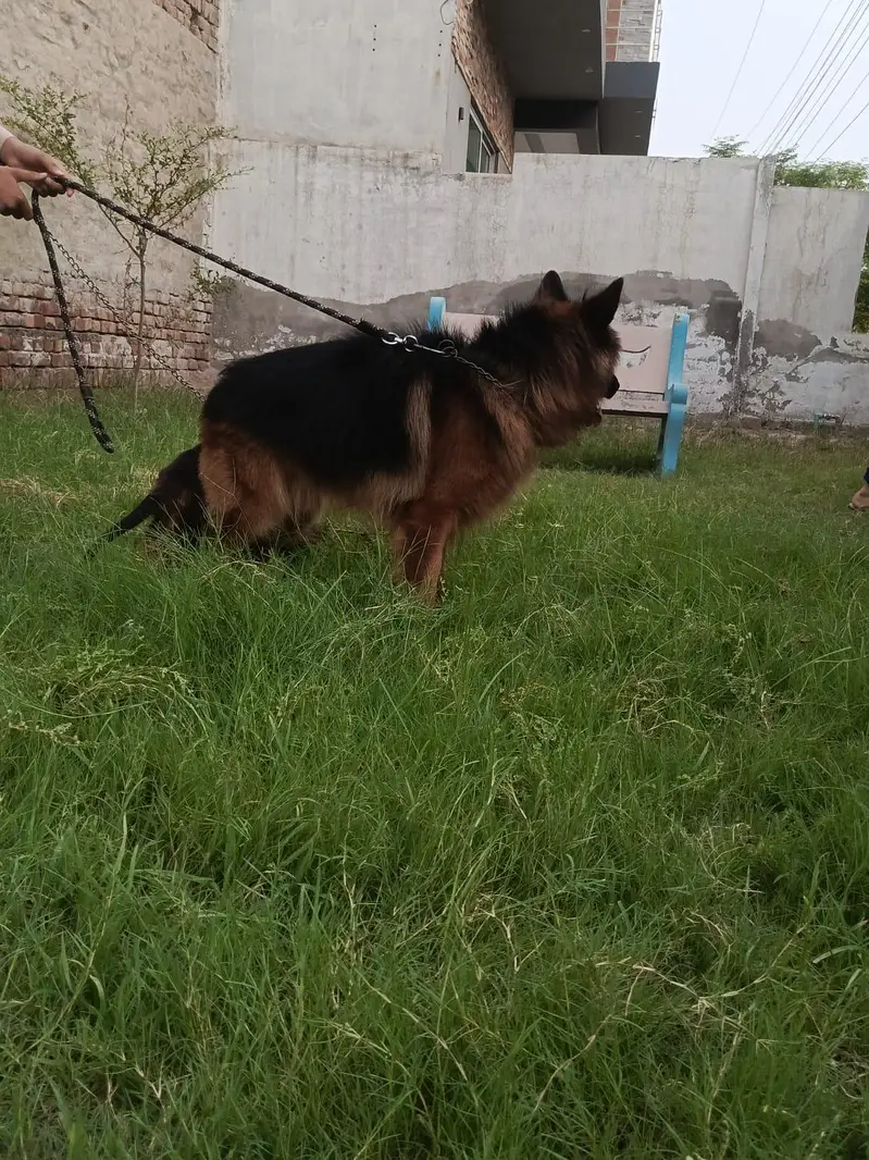 lonG coat Male — photo 3