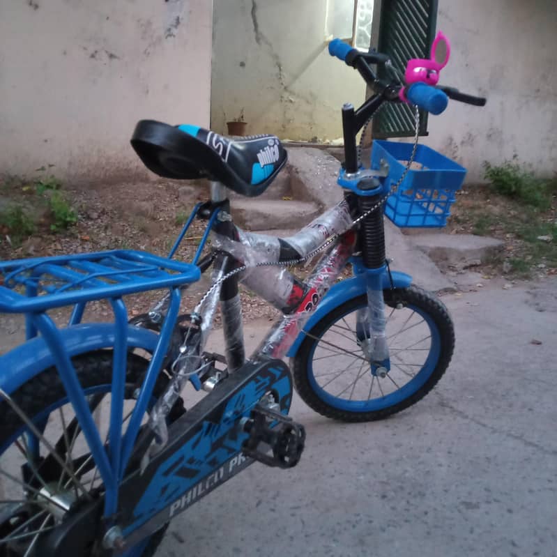 baik saicul 2