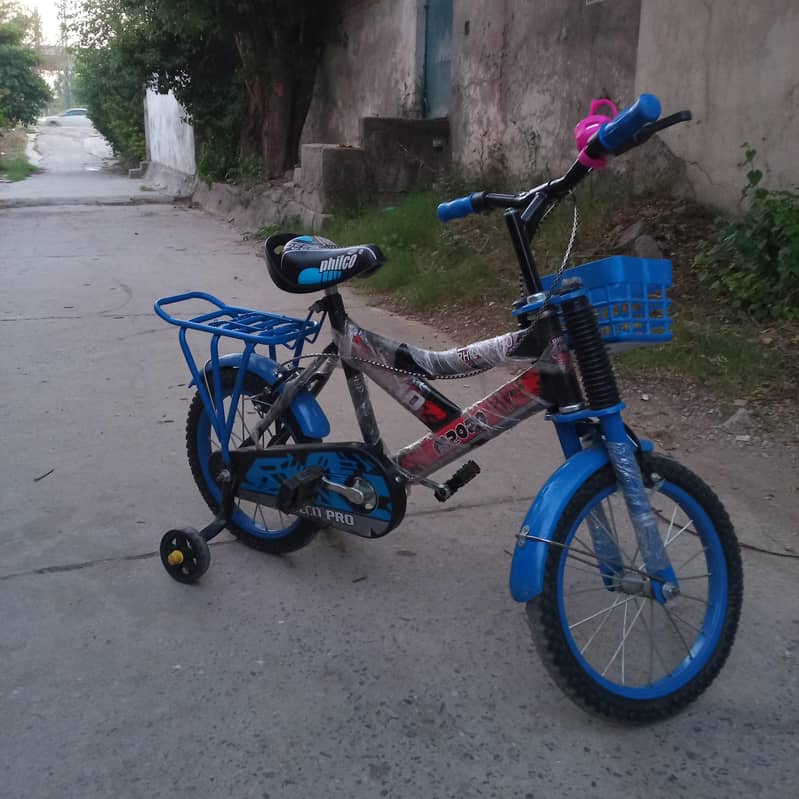baik saicul 3