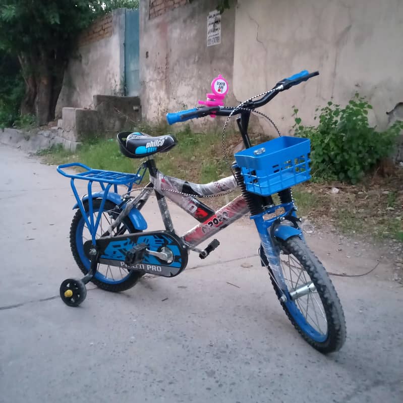 baik saicul 4