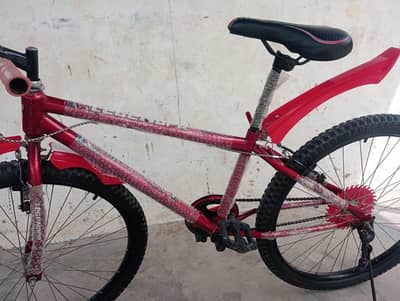 cycle for sell