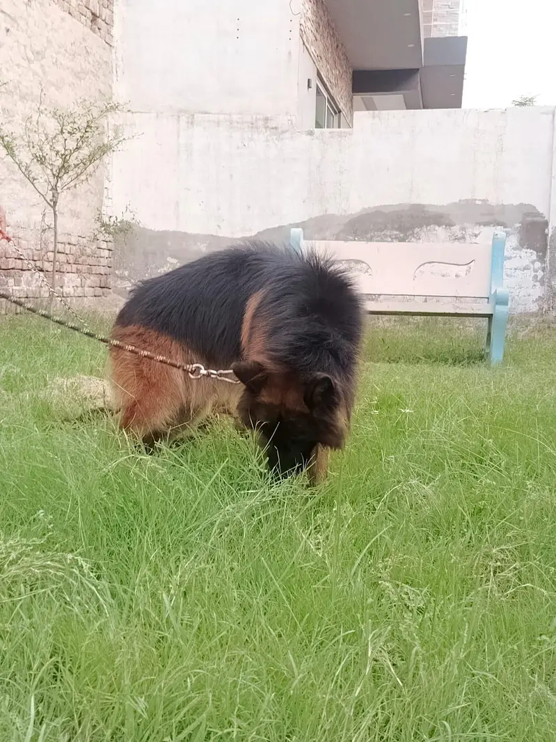 lonG coat Male — photo 6
