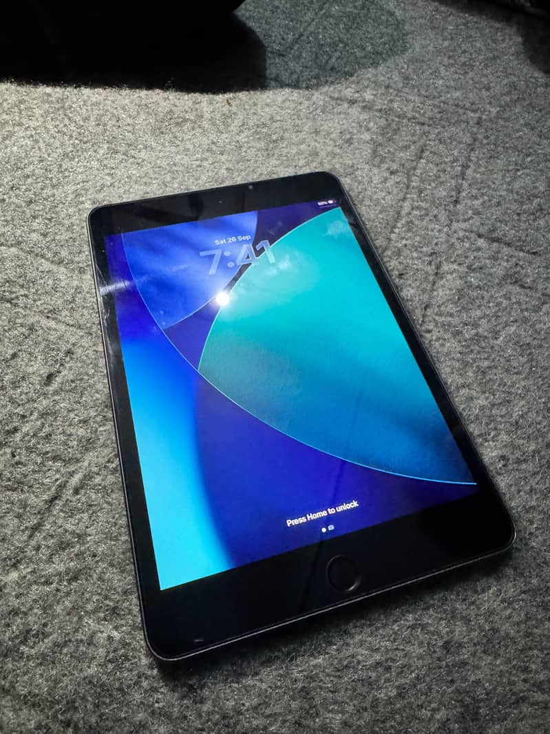 Ipad mini 5 0