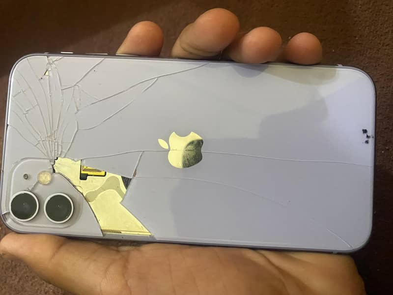 Apple iPhone 11 1
