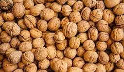 Whole sale proce - Organic and soft Walnuts – From Dir valley KPK.