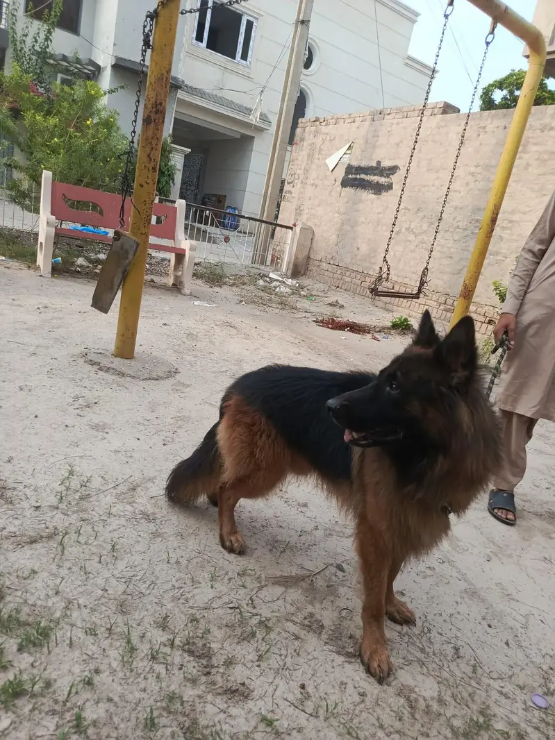 lonG coat Male — photo 8