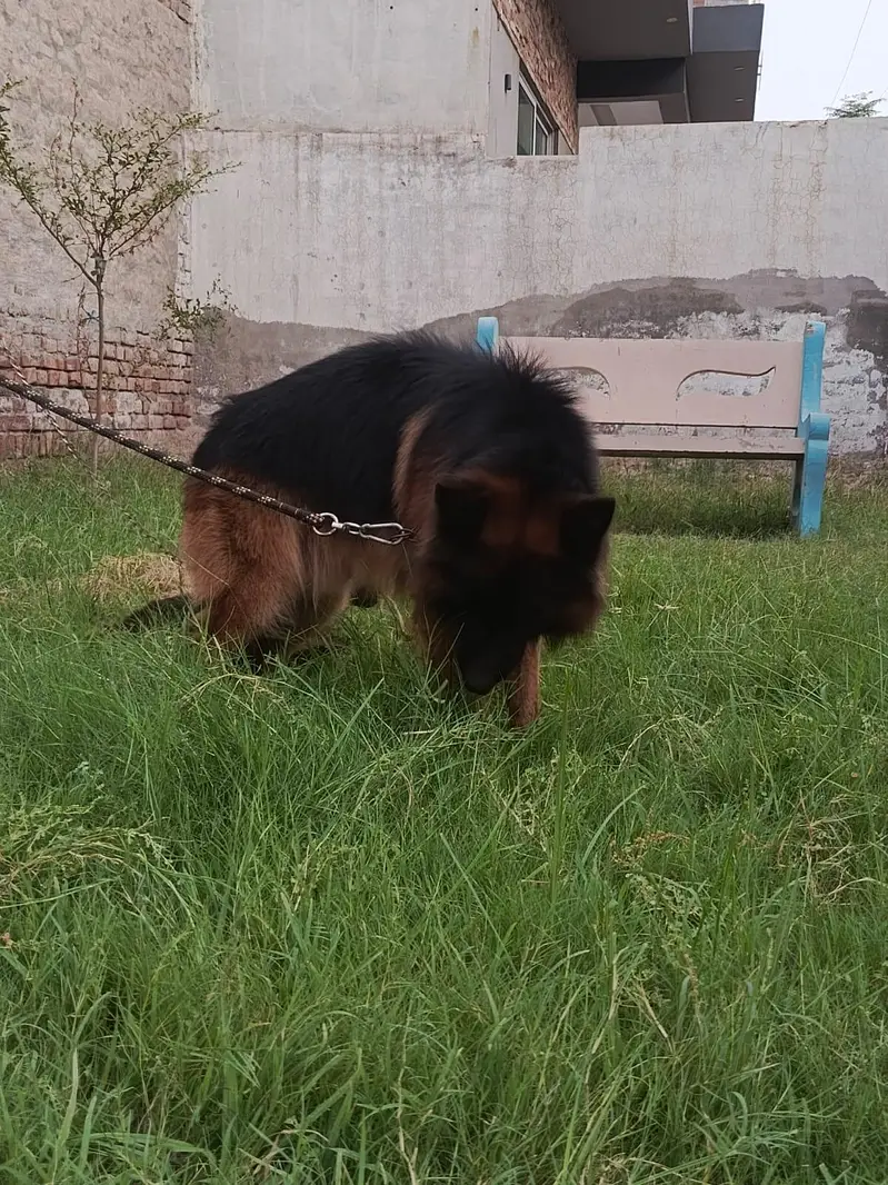 lonG coat Male — photo 9