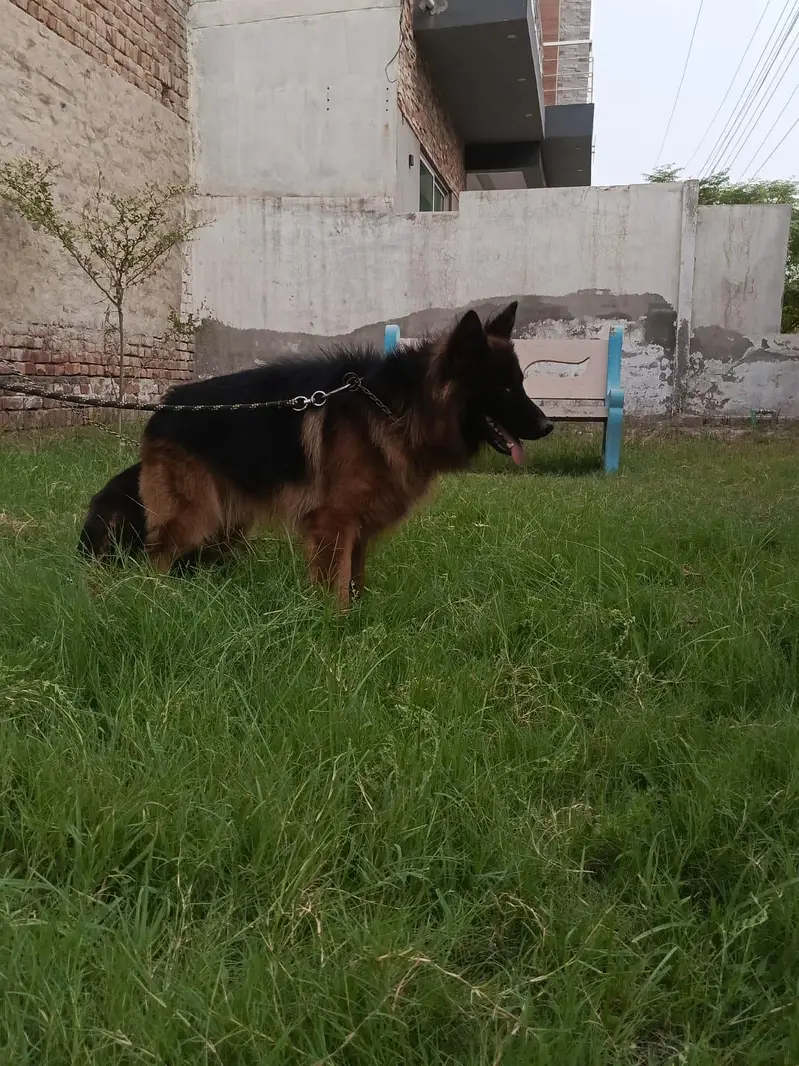 lonG coat Male — photo 10