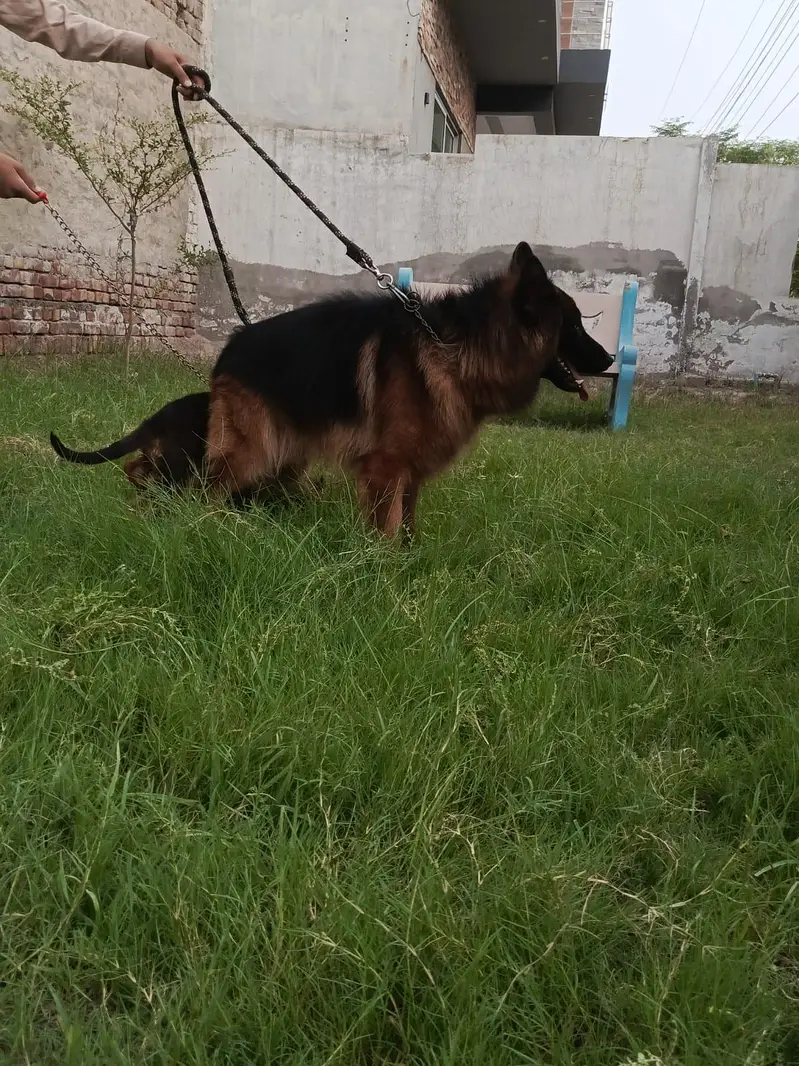 lonG coat Male — photo 11