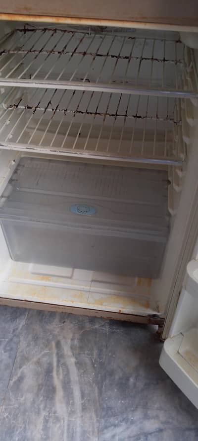 Haier fridge (medium)