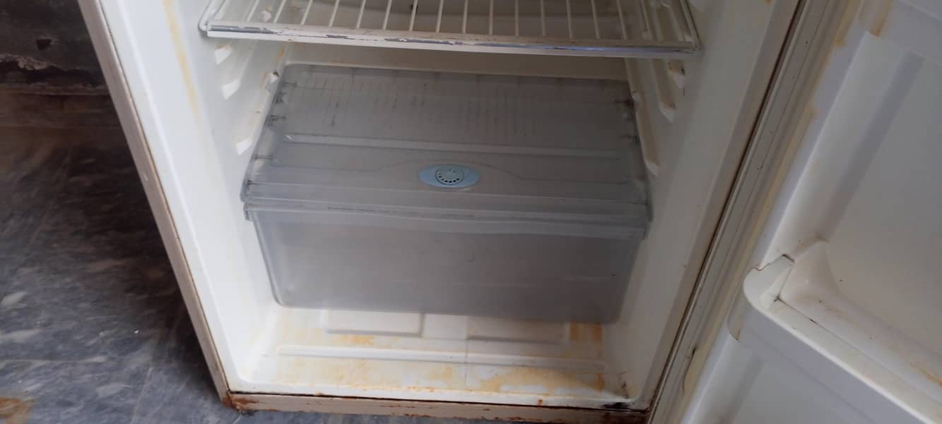 Haier fridge (medium) 1