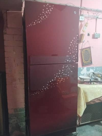 PEL GLASS DOOR. .