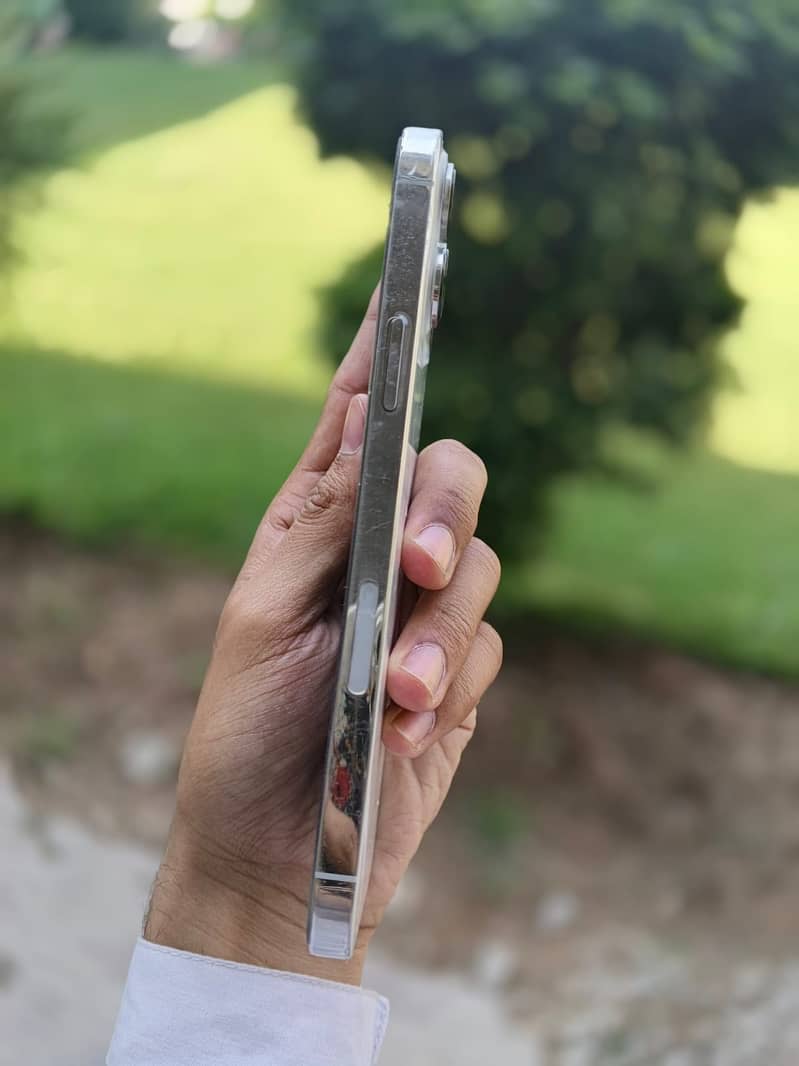 Apple iPhone 13 Pro Max 2