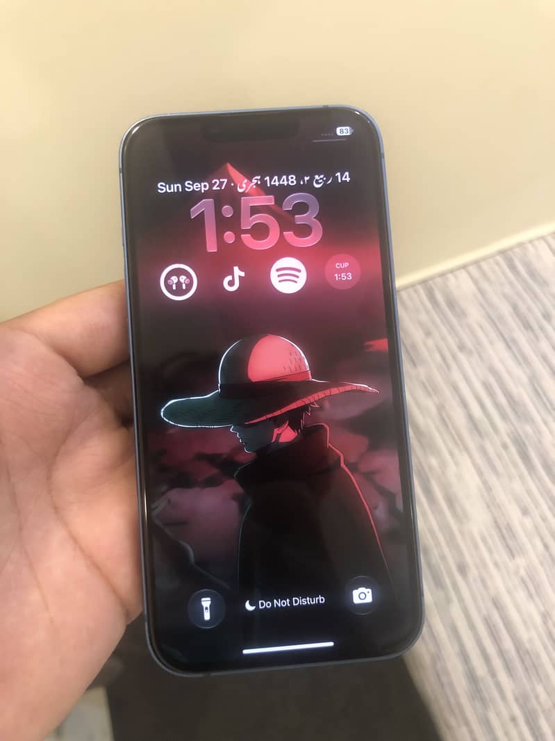 Apple iPhone 13 0