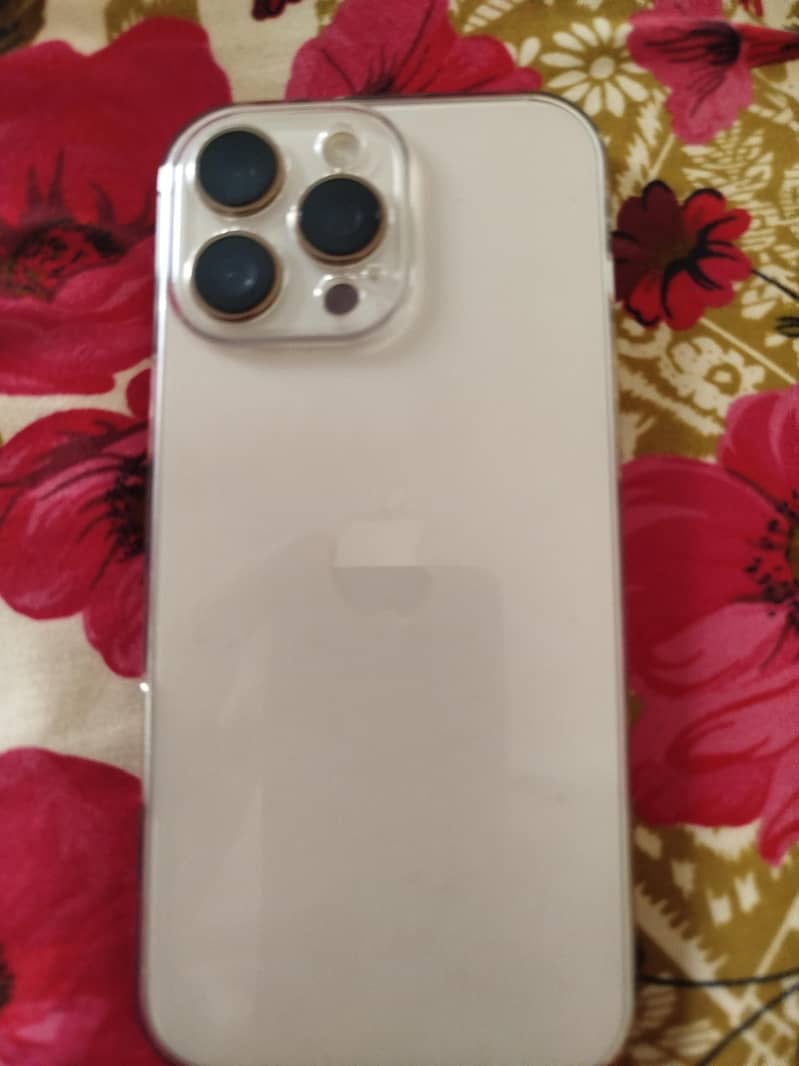 Apple iPhone 16 Pro Max 0