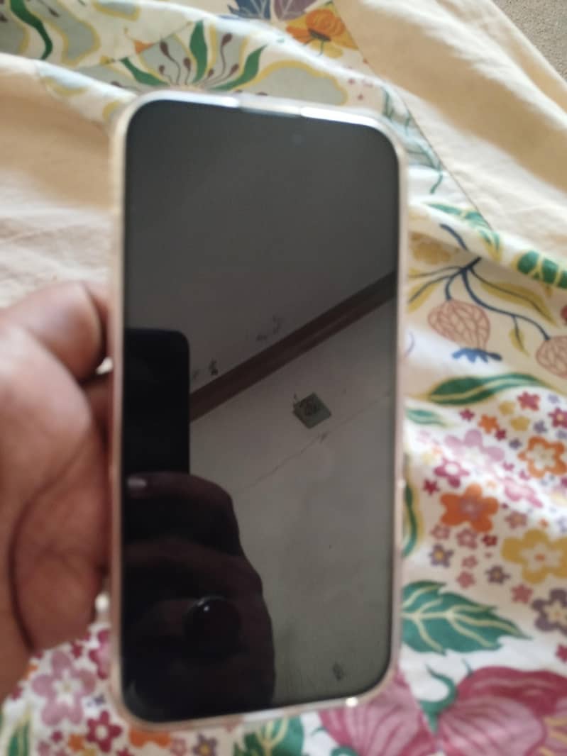 Apple iPhone 16 Pro Max 1
