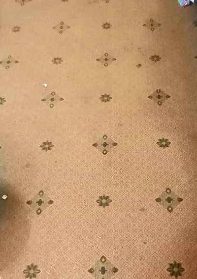 Wall To Wall floor Carpet.