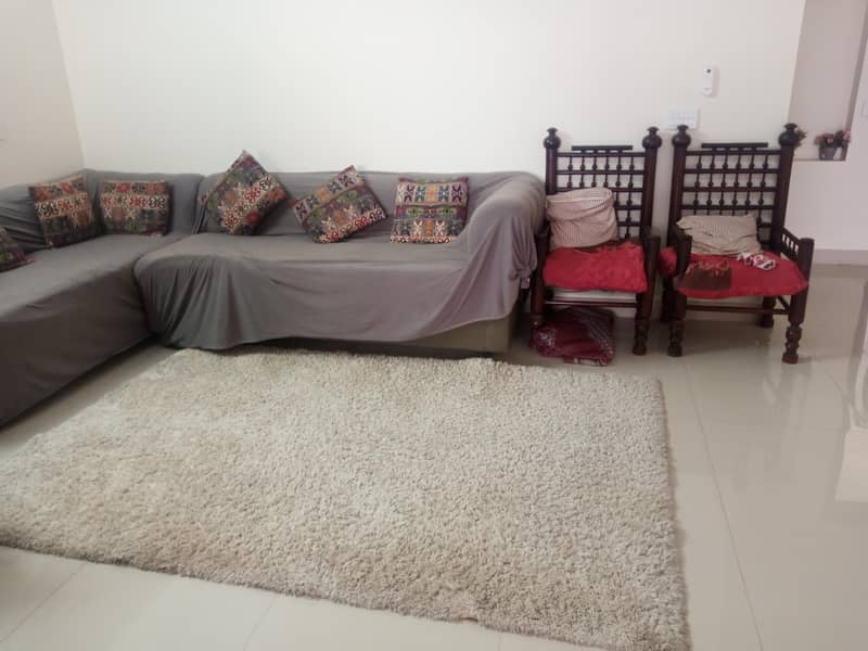 rugs imoorted 2