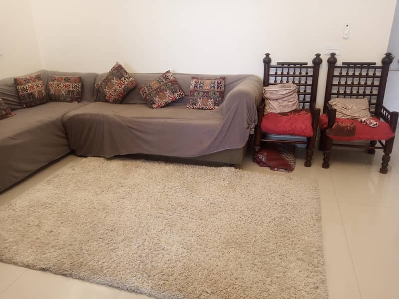 rugs imoorted 3