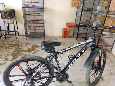 roxy cycle
