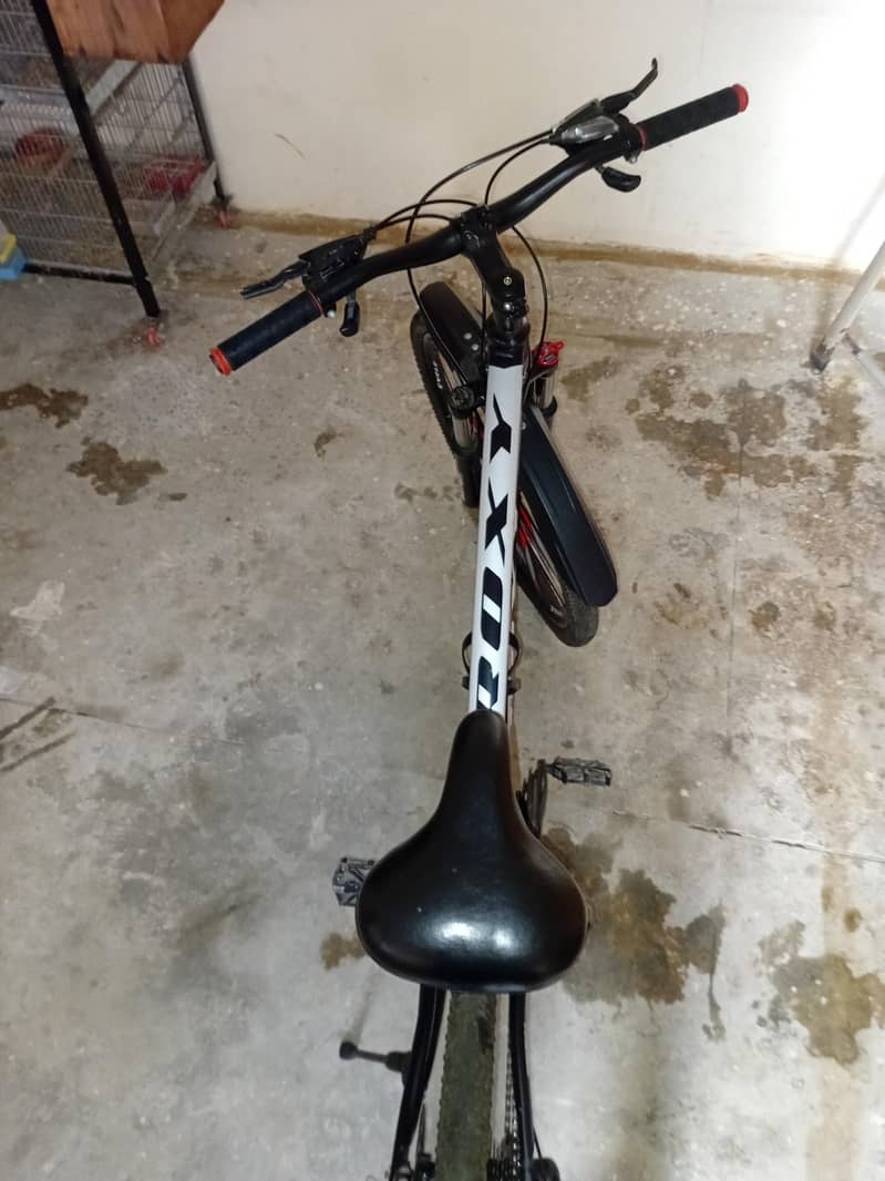 roxy cycle 1