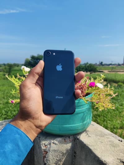 iPhone 8 bypass