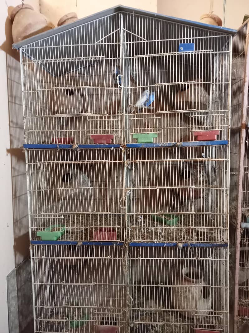 6 portion cage 0