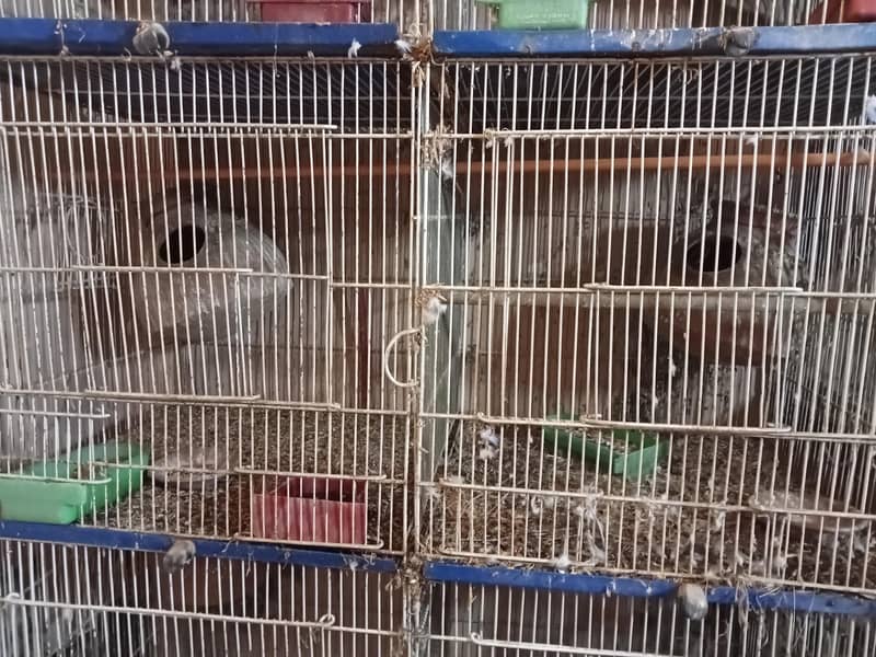 6 portion cage 4