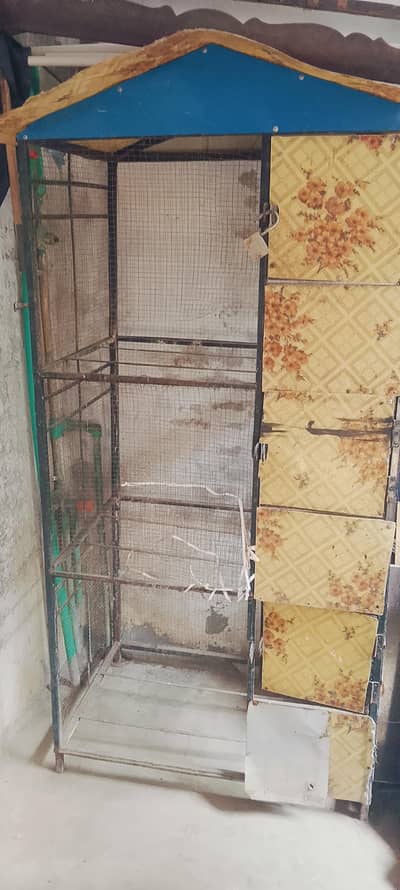 cage for parrots and chick