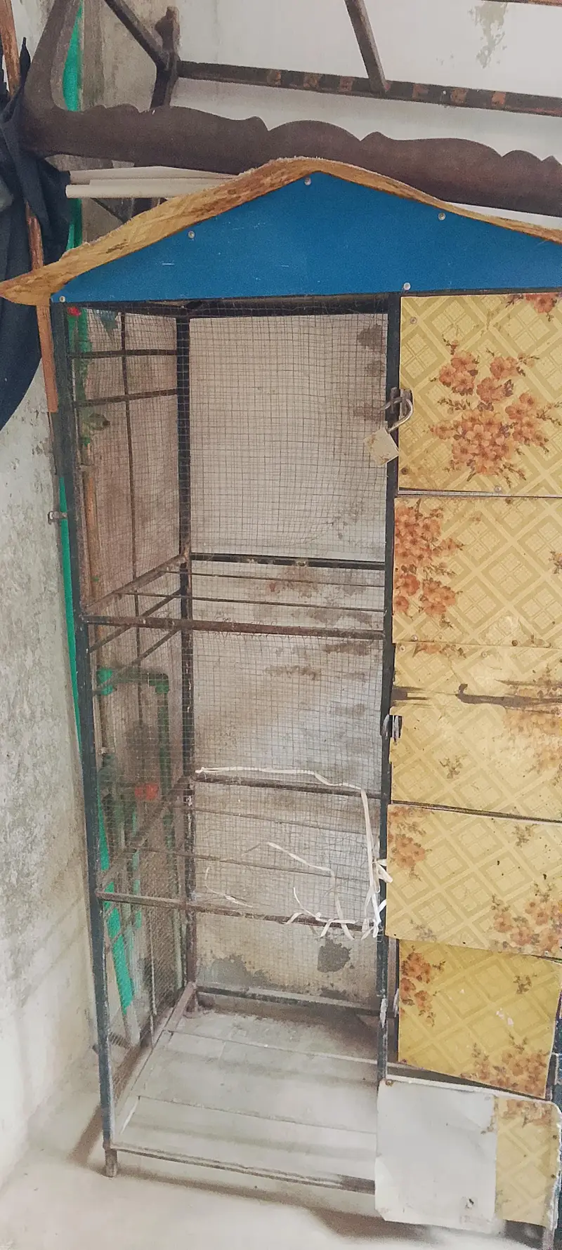 cage for parrots and chick — photo 2