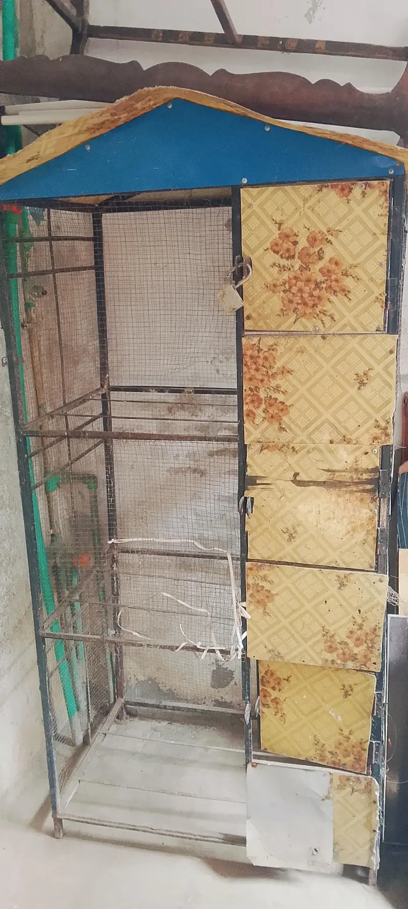 cage for parrots and chick — photo 3