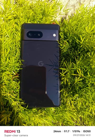 Google Pixel 7 - Panel non working