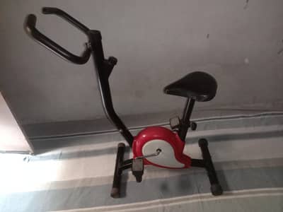 Exercise cycle