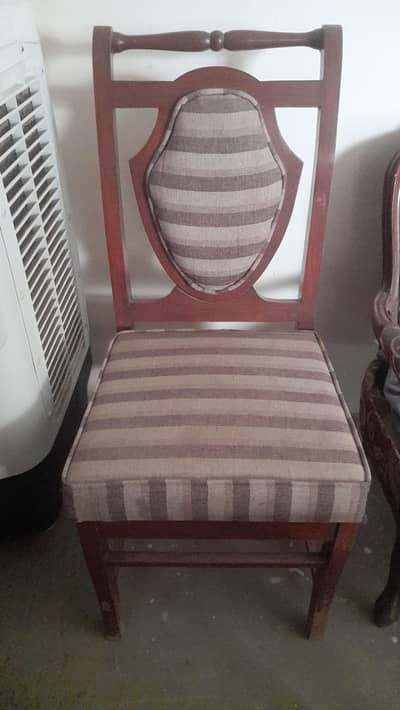 Dining Chairs