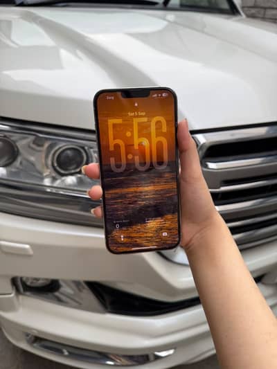 Apple iPhone 13 Pro Max