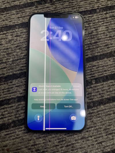 Apple iPhone 12 Pro Max