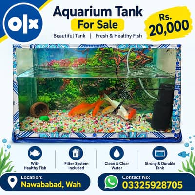 Beautiful Aquarium Tank with Fish & Filter System – Rs. 20,000