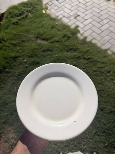 Premium Quality Crockery Set – Beautiful Design & Excellent Condition