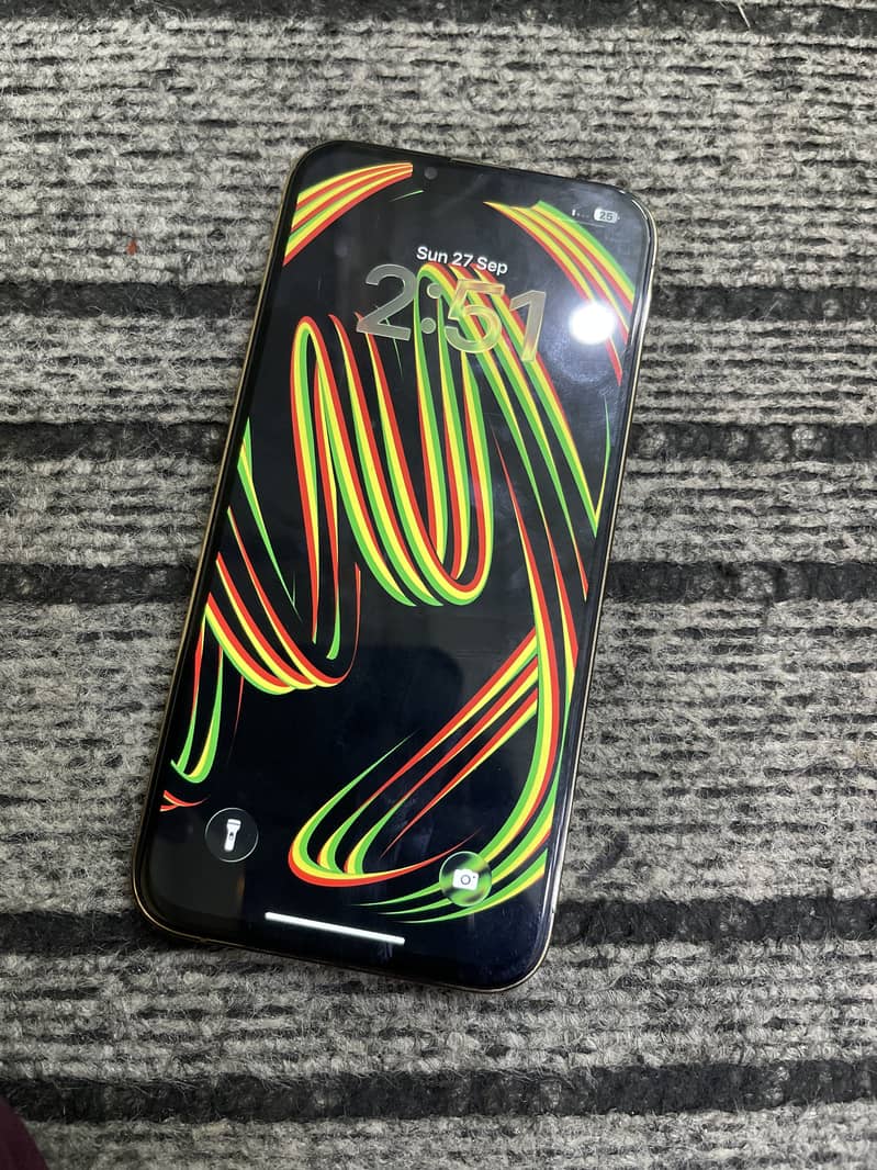 Apple iPhone 13 Pro Max 1