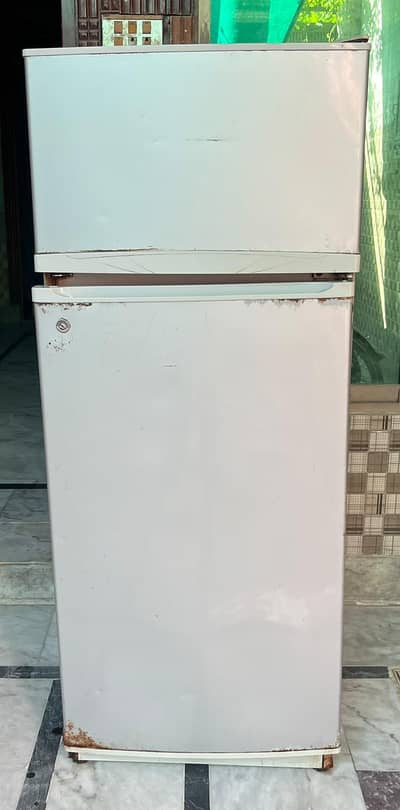 Hair Refrigirator