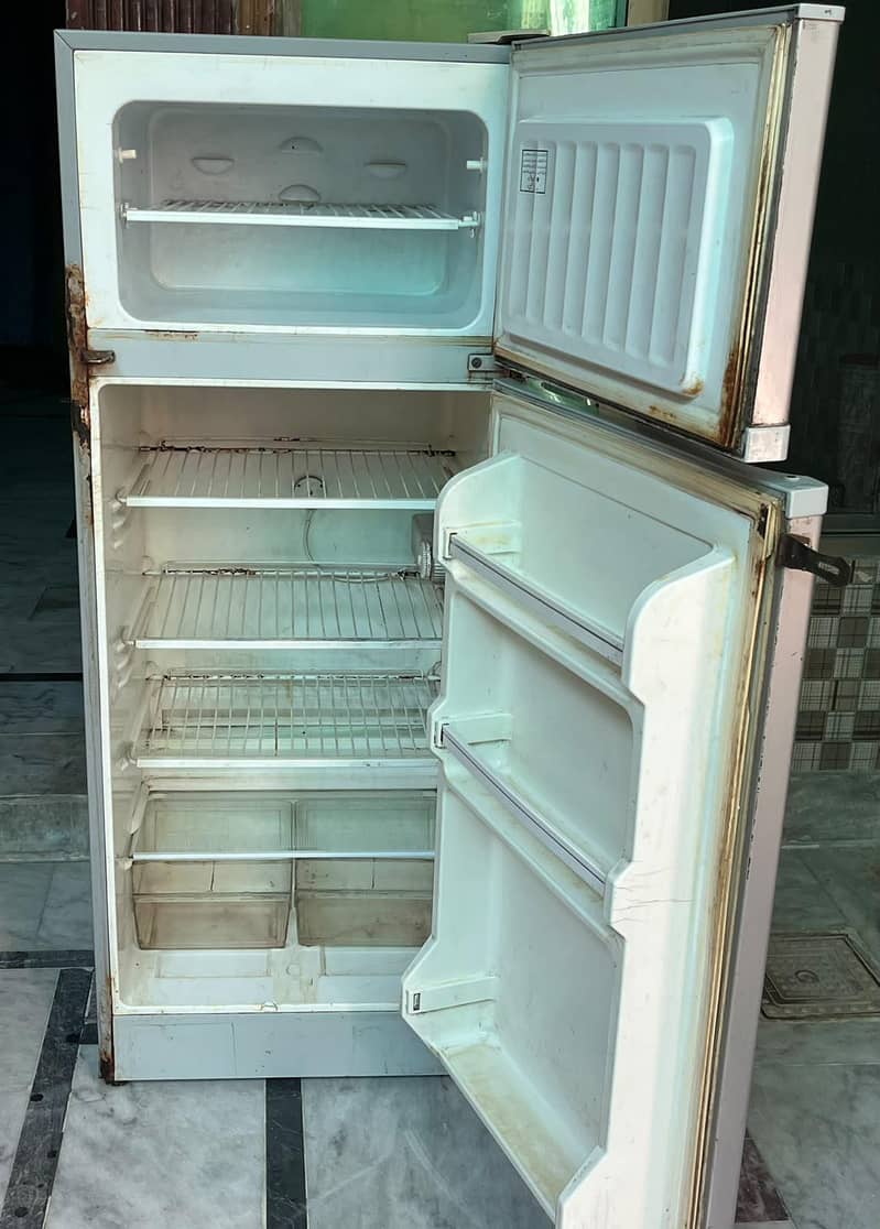 Hair Refrigirator 3