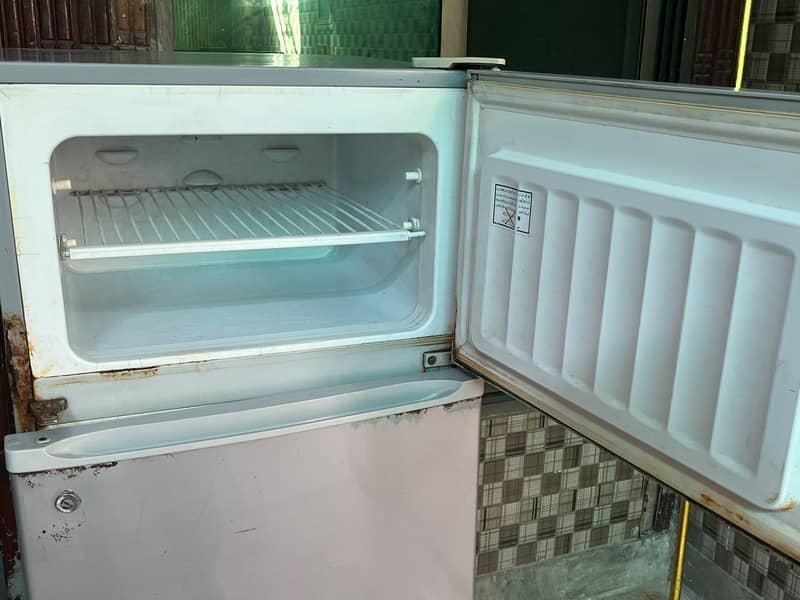 Hair Refrigirator 6