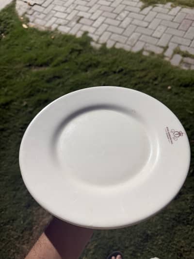 Premium Quality Crockery Set – Beautiful Design & Excellent Condition