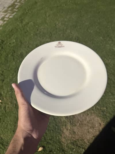 Premium Quality Crockery Set – Beautiful Design & Excellent Condition