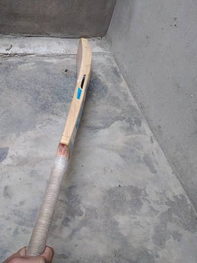 Big sixer bat